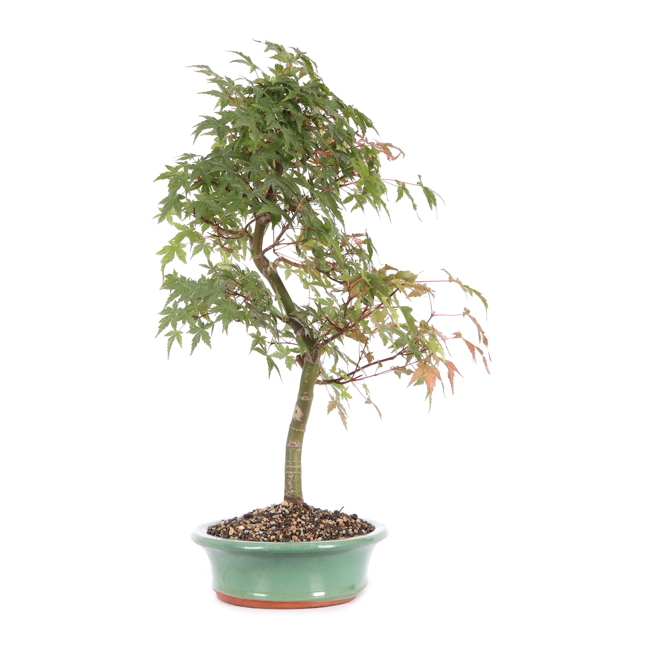 Seitenansicht rechts