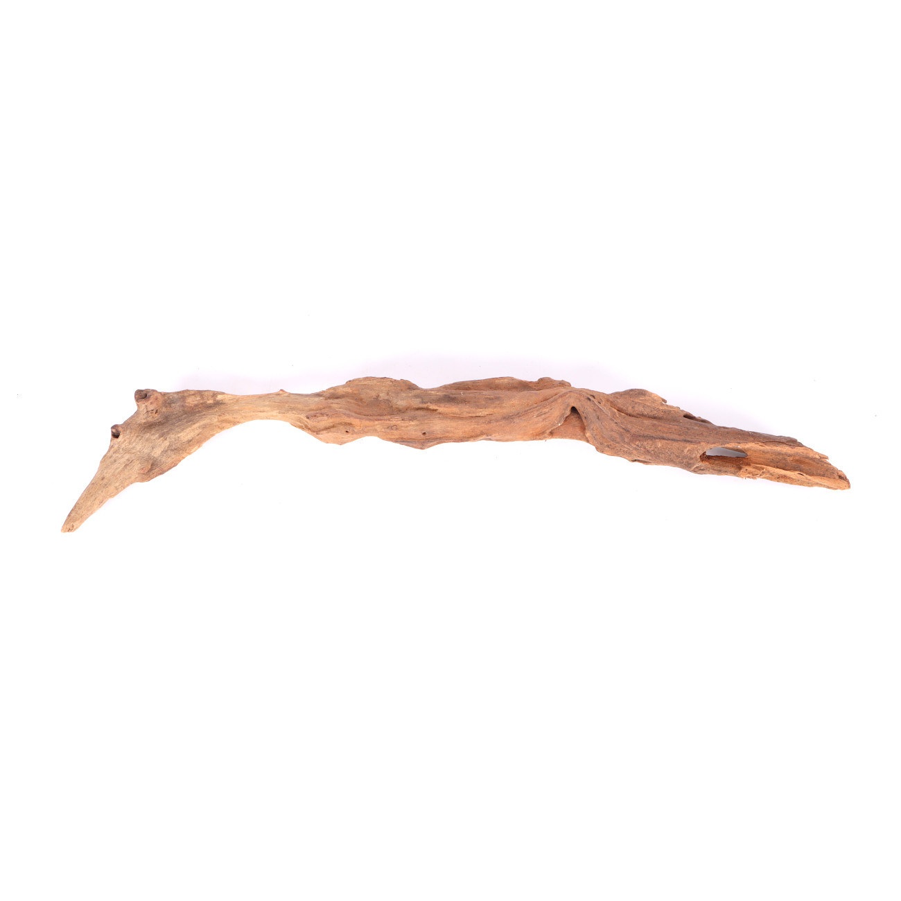 Tanuki-Holz