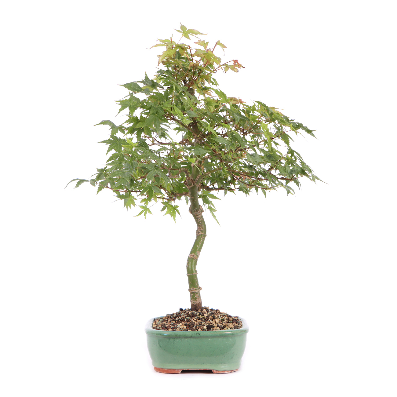 Seitenansicht rechts