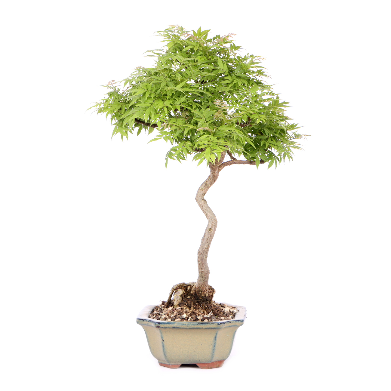 Seitenansicht rechts