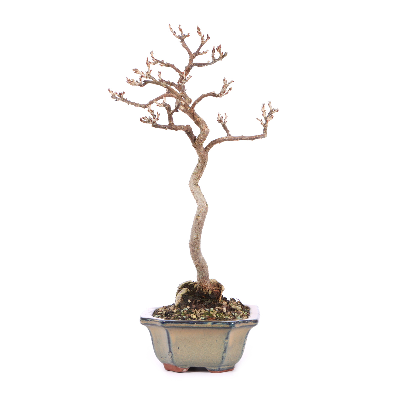 Seitenansicht rechts