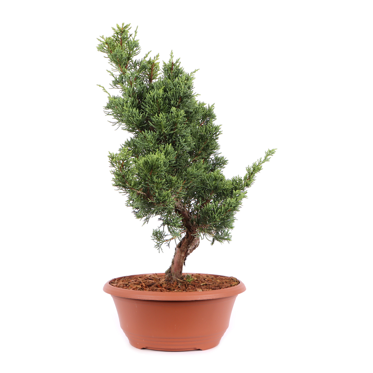 Seitenansicht rechts