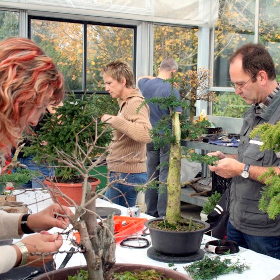 Seminarteilnehmer bei der Arbeit
