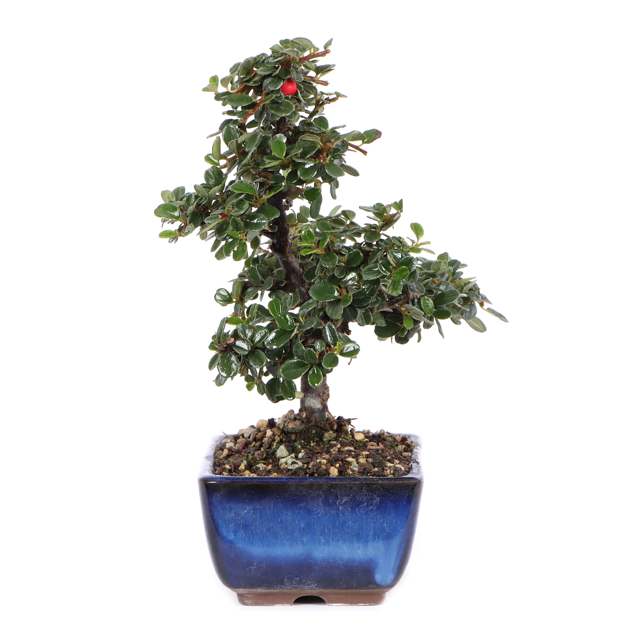 Seitenansicht rechts