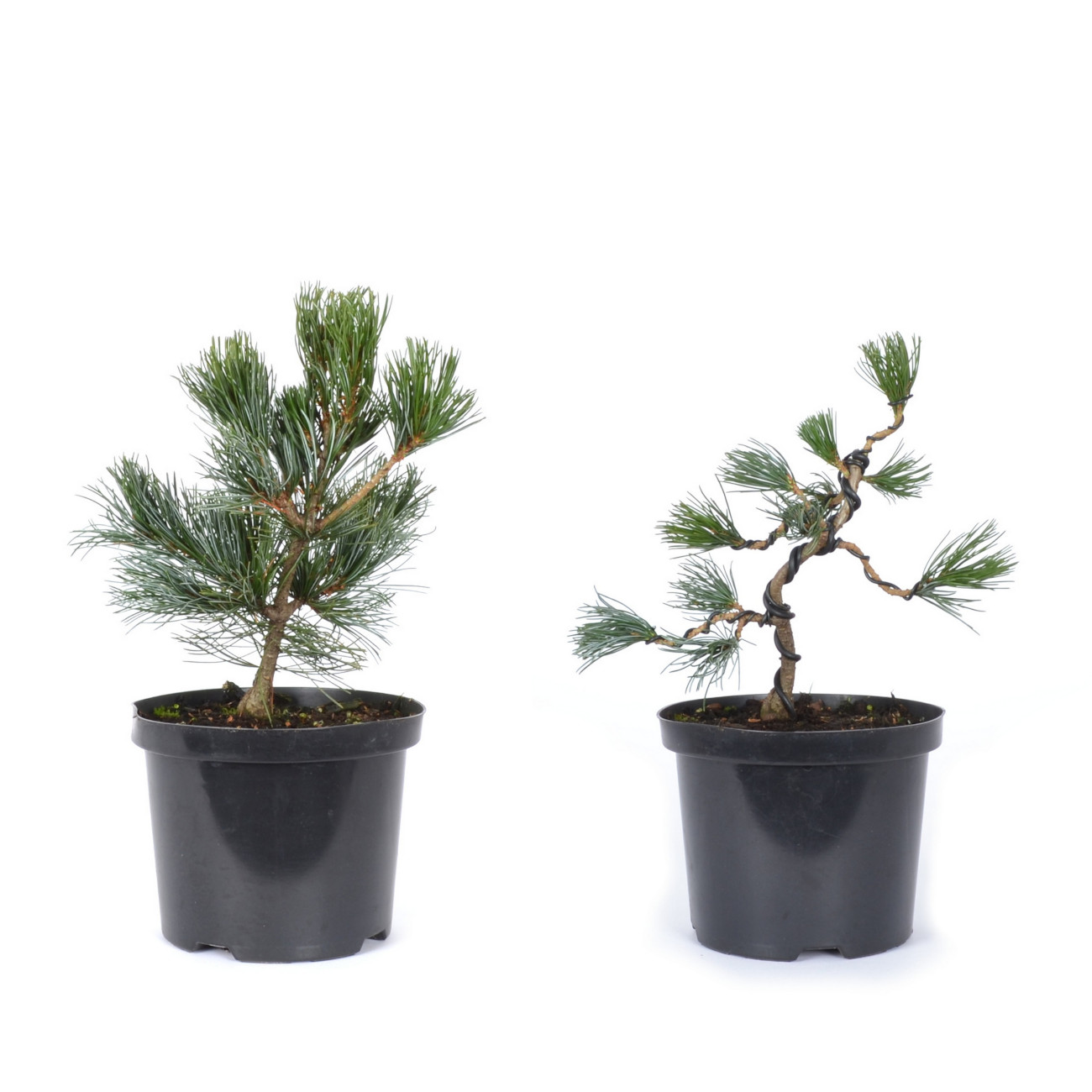 Gestaltungsbeispiel vorher - nachher