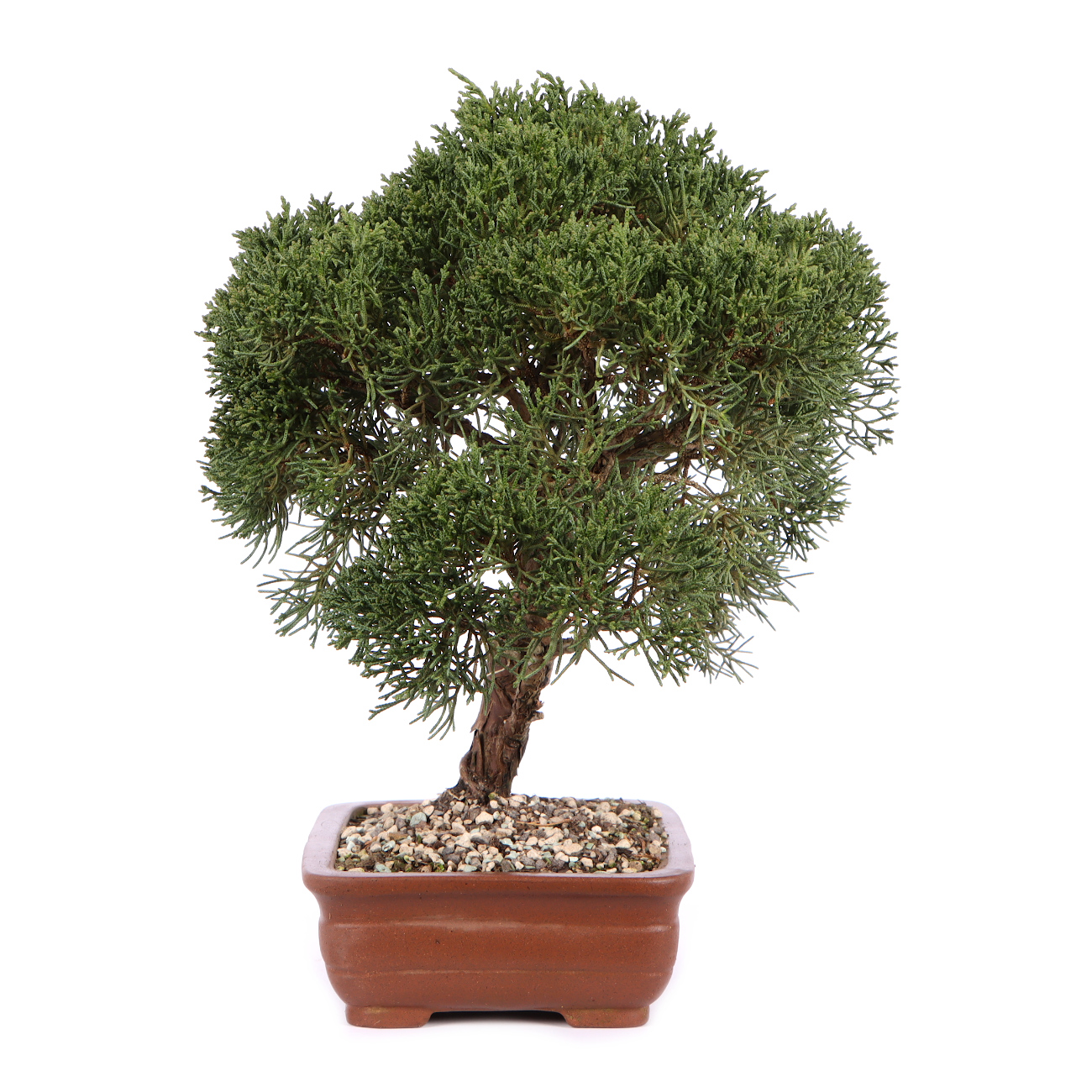 Seitenansicht rechts