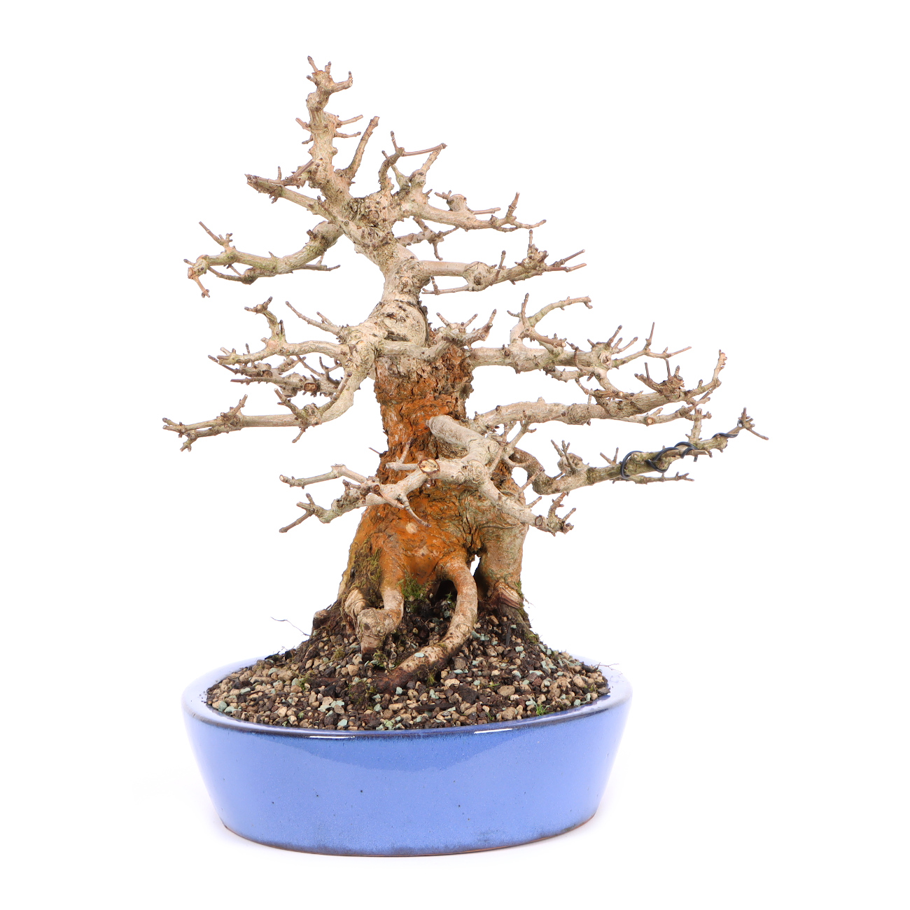 Seitenansicht rechts