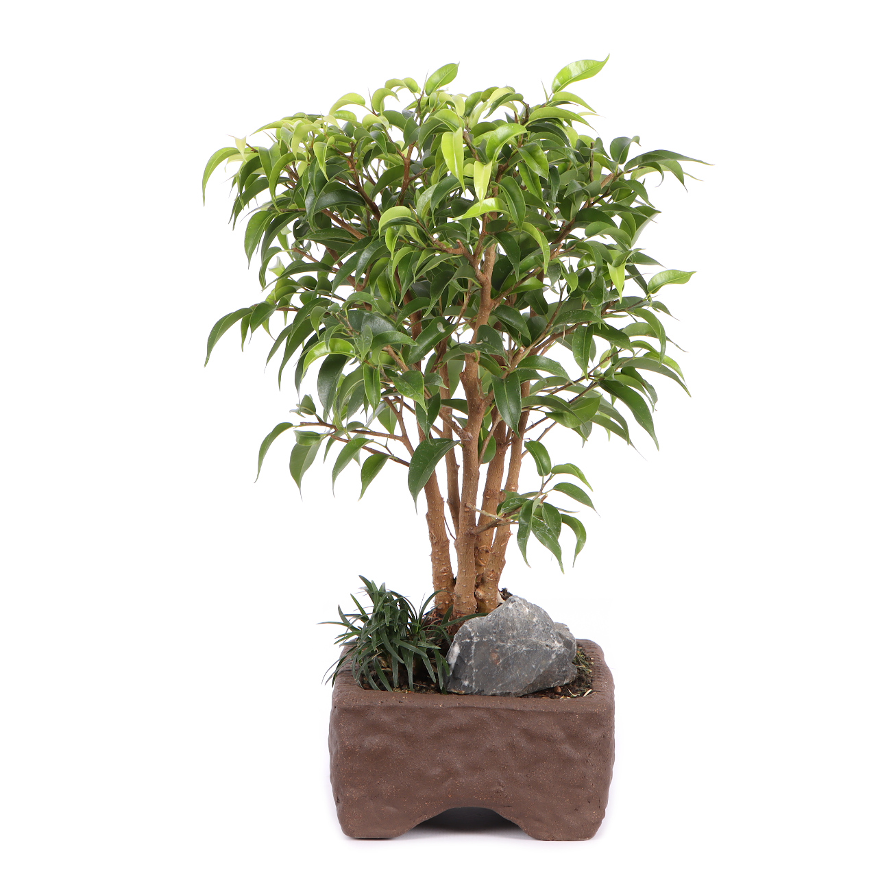 Seitenansicht rechts