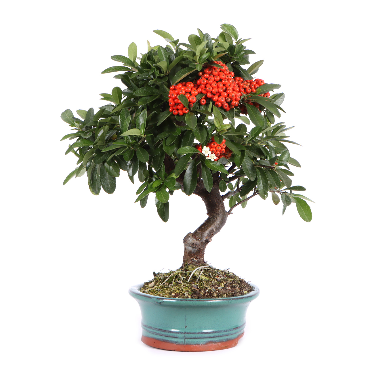 Seitenansicht rechts