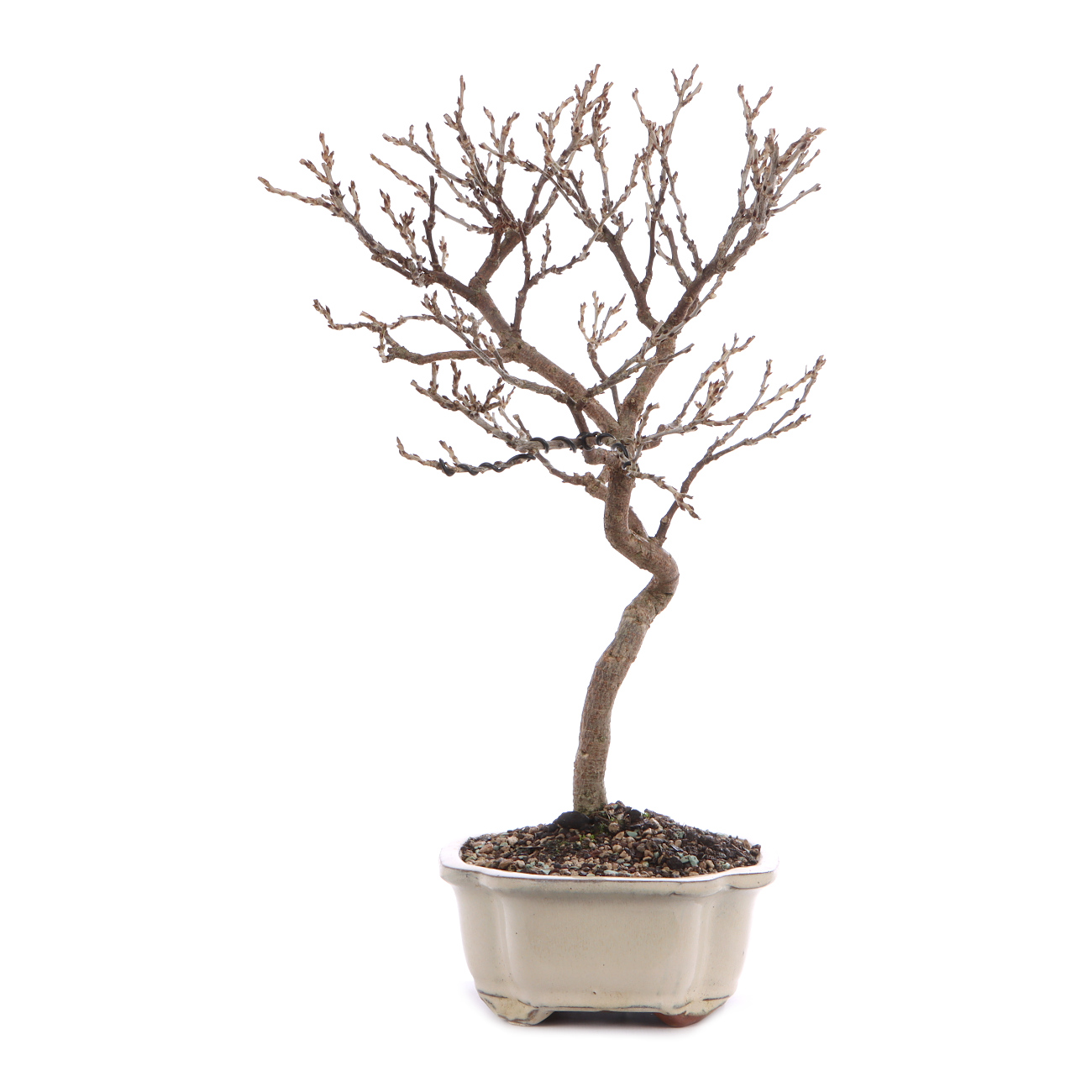 Seitenansicht rechts