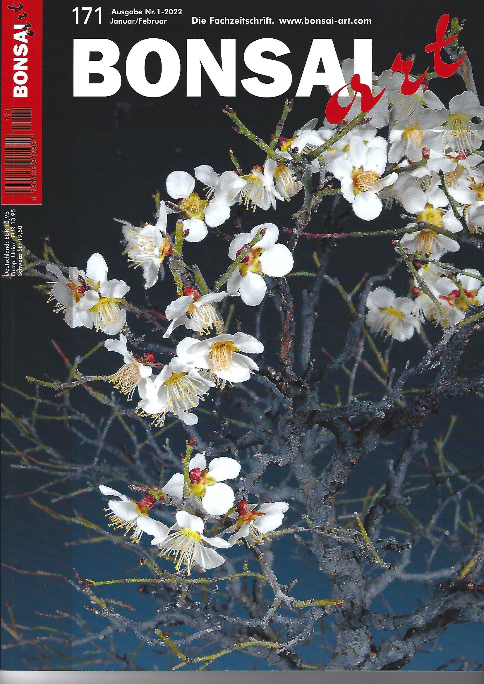 Bonsai Art, Nr.171