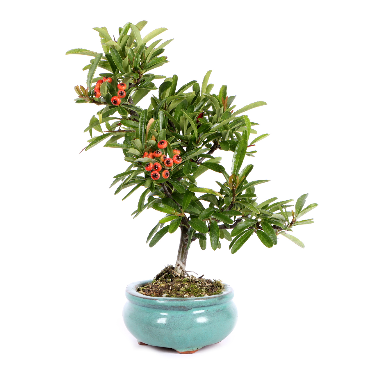 Seitenansicht rechts