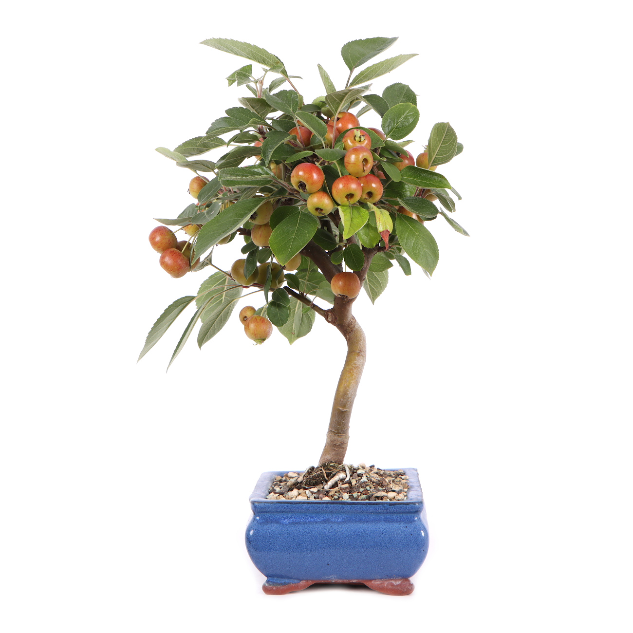 Seitenansicht rechts