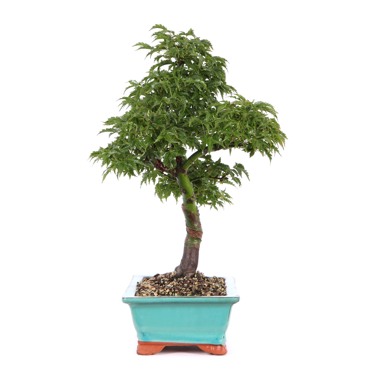 Seitenansicht rechts