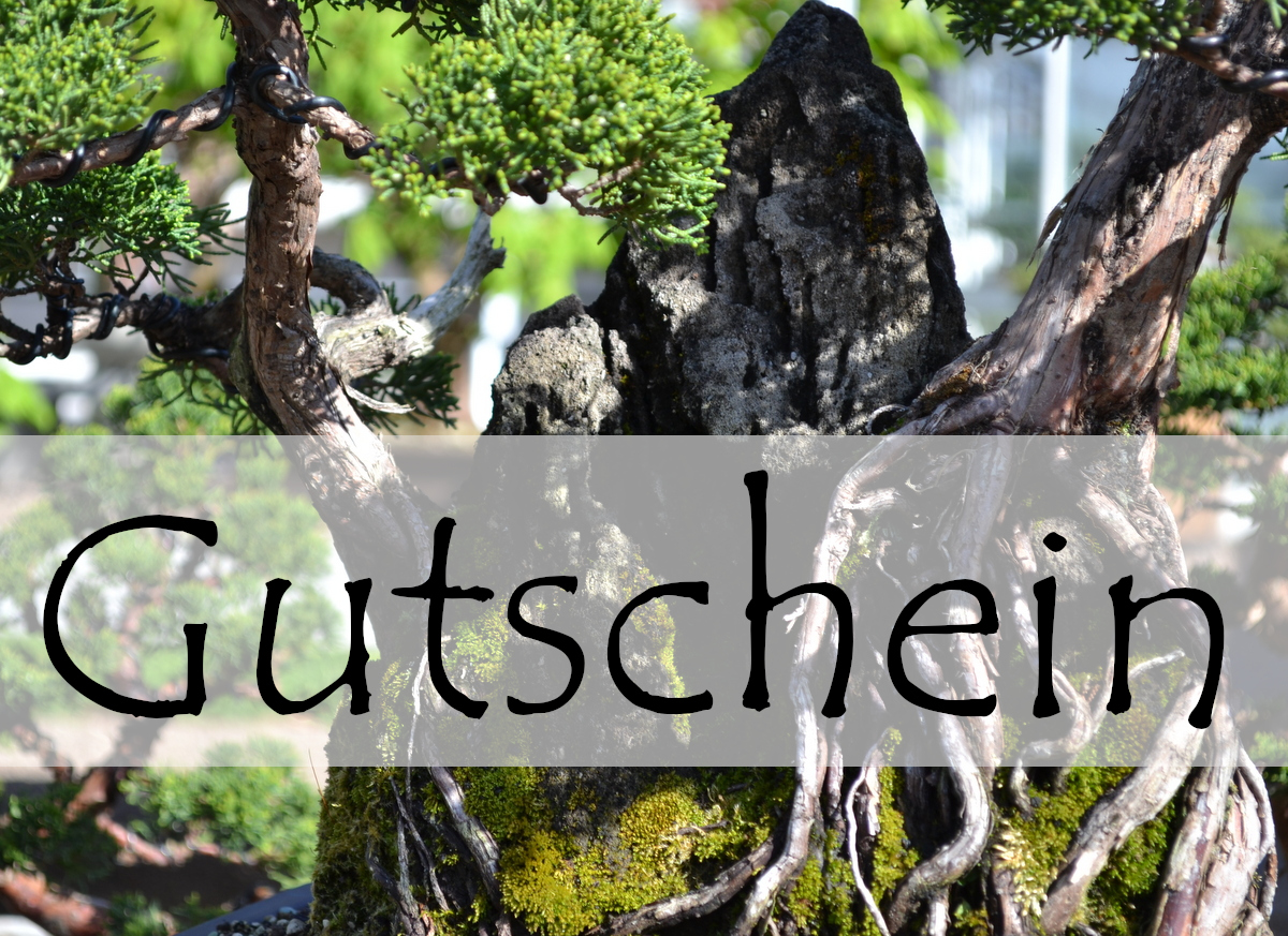 Geschenkgutschein 70 EUR