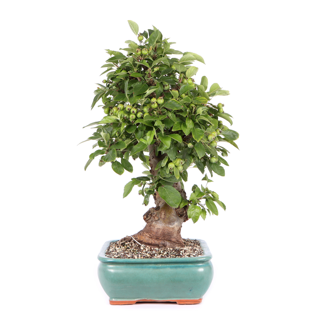 Seitenansicht rechts