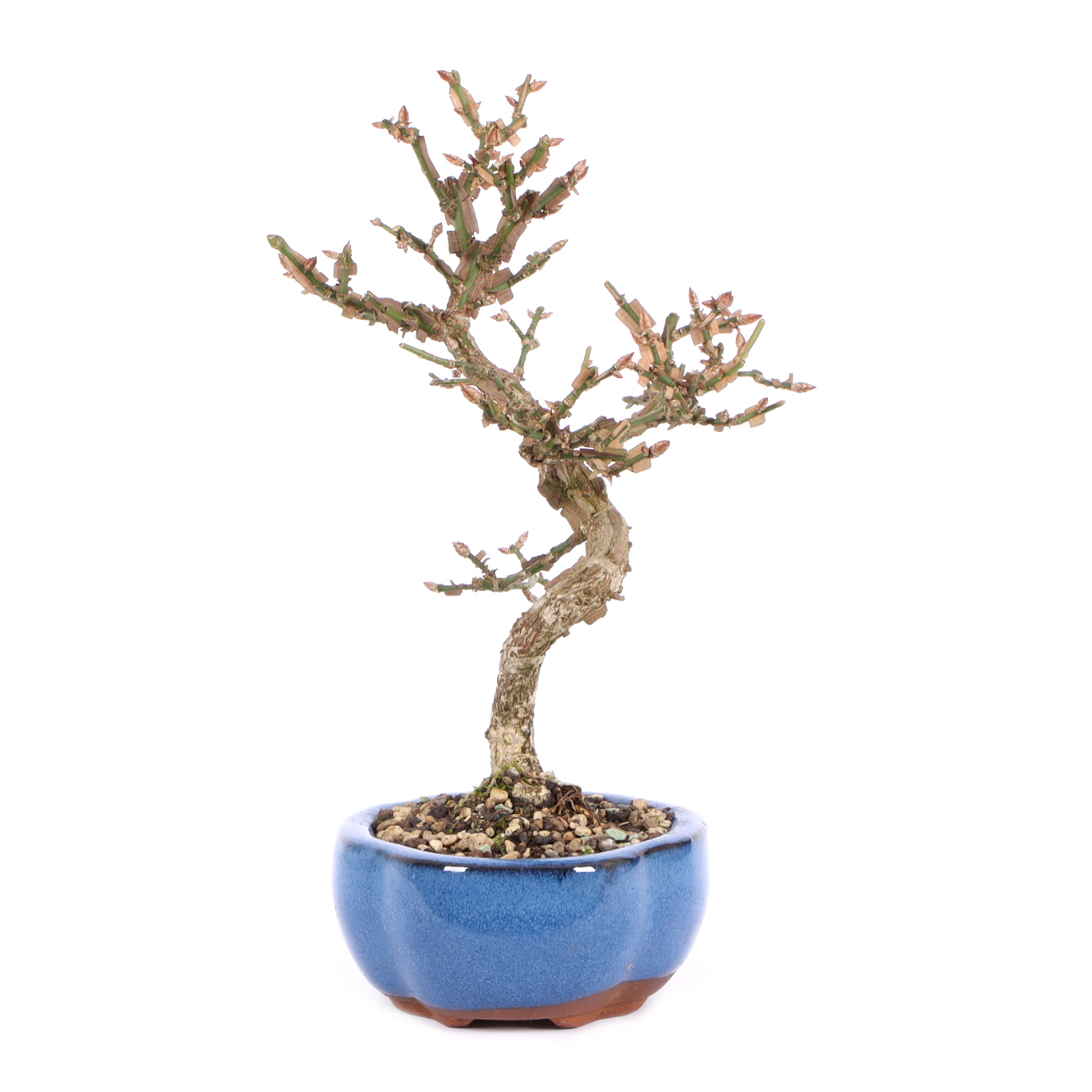 Seitenansicht rechts