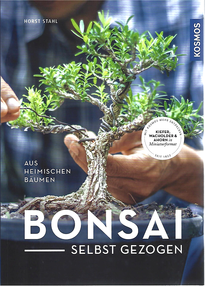 Bonsai selbst gezogen