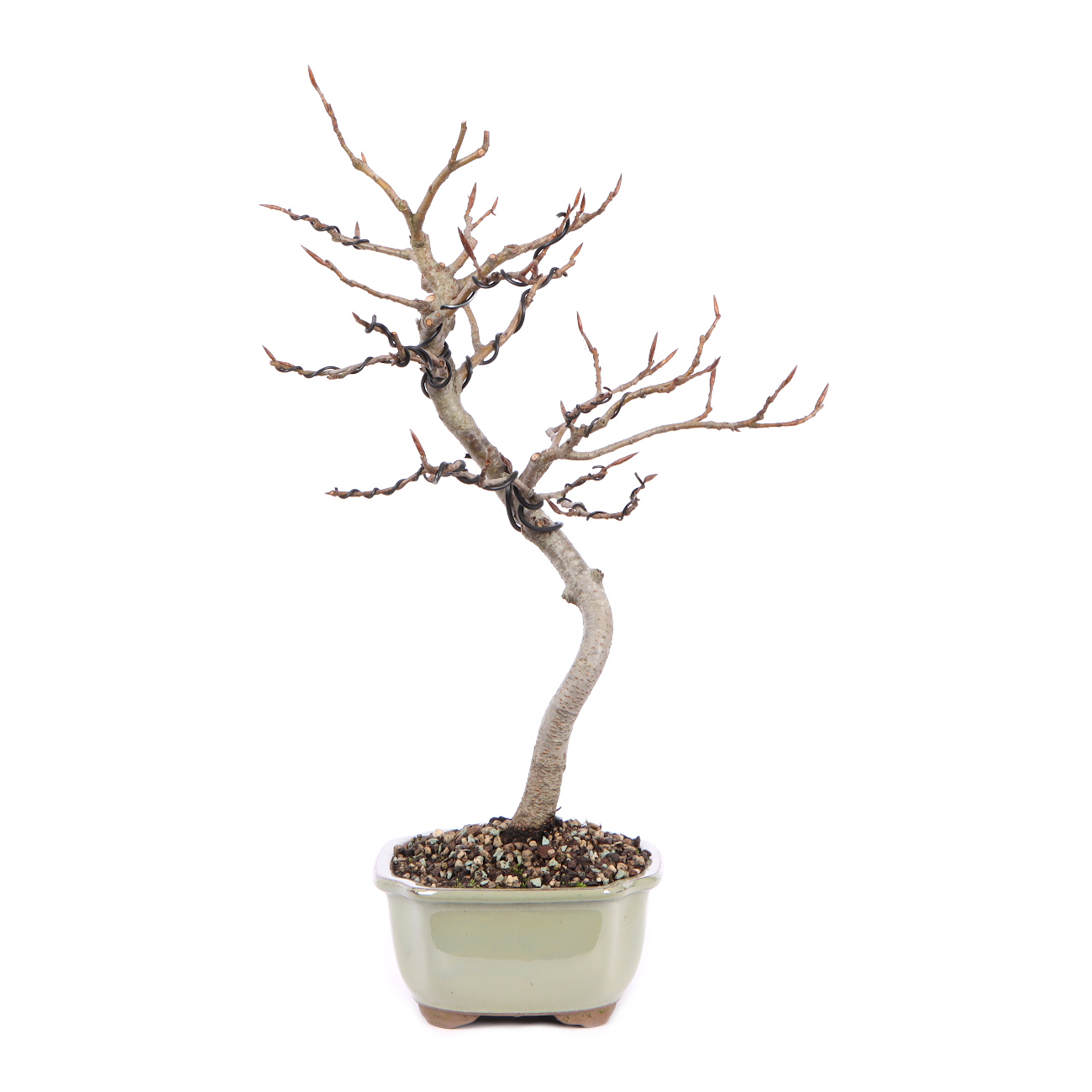 Seitenansicht rechts