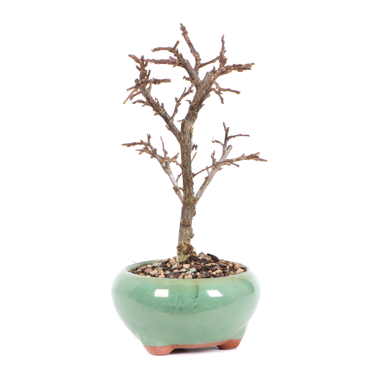 Seitenansicht rechts