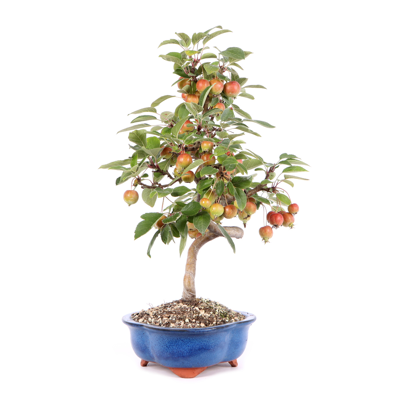 Seitenansicht rechts