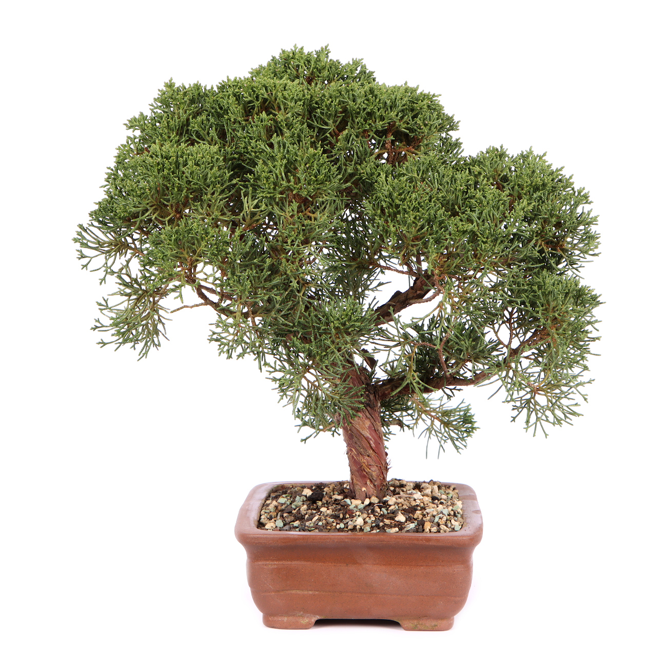 Seitenansicht rechts