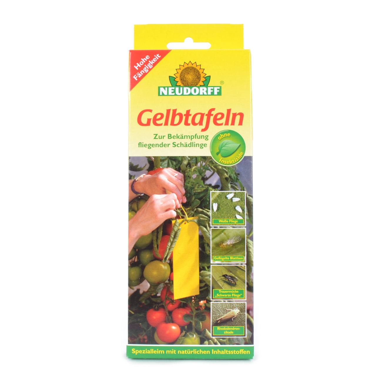 Gelbtafeln