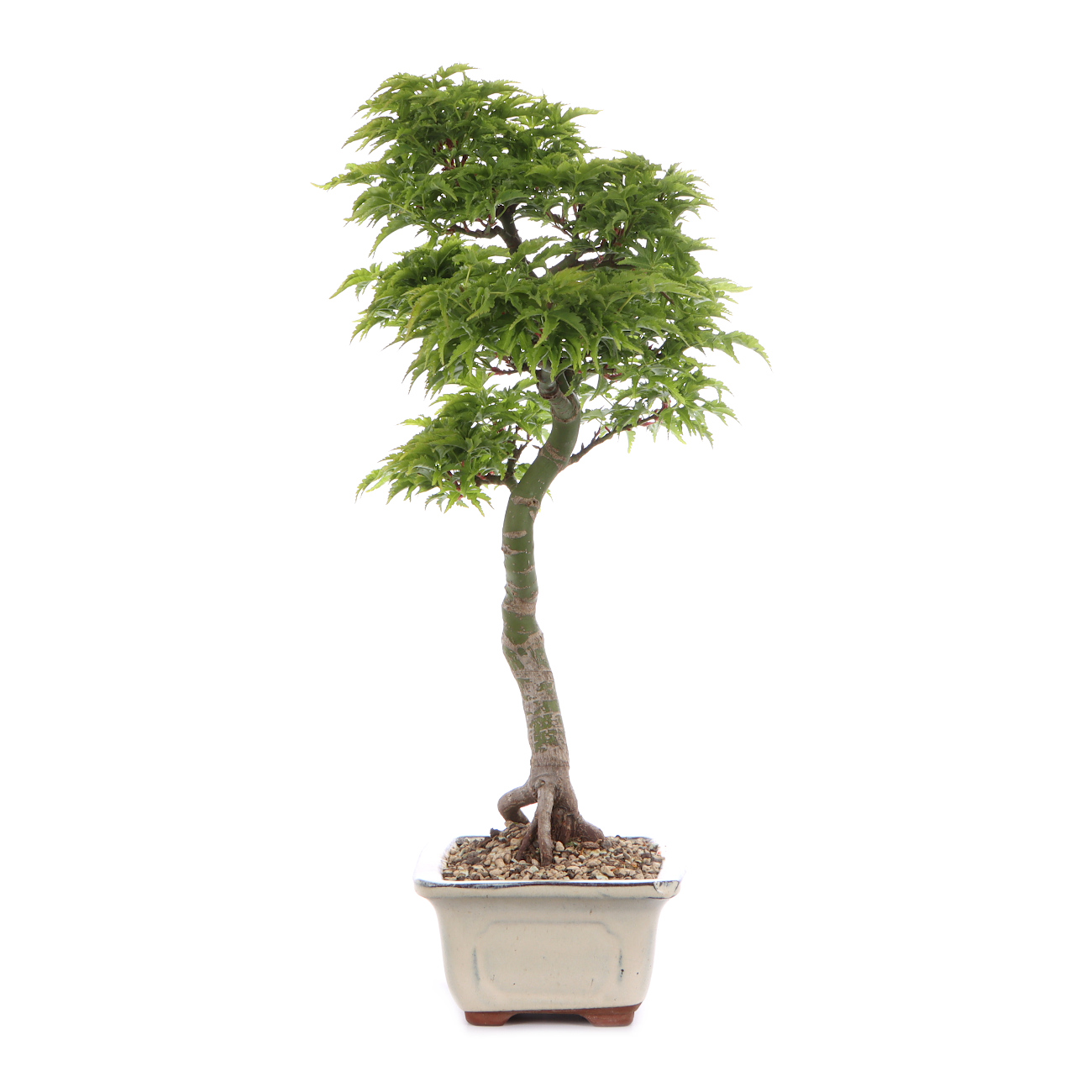 Seitenansicht rechts