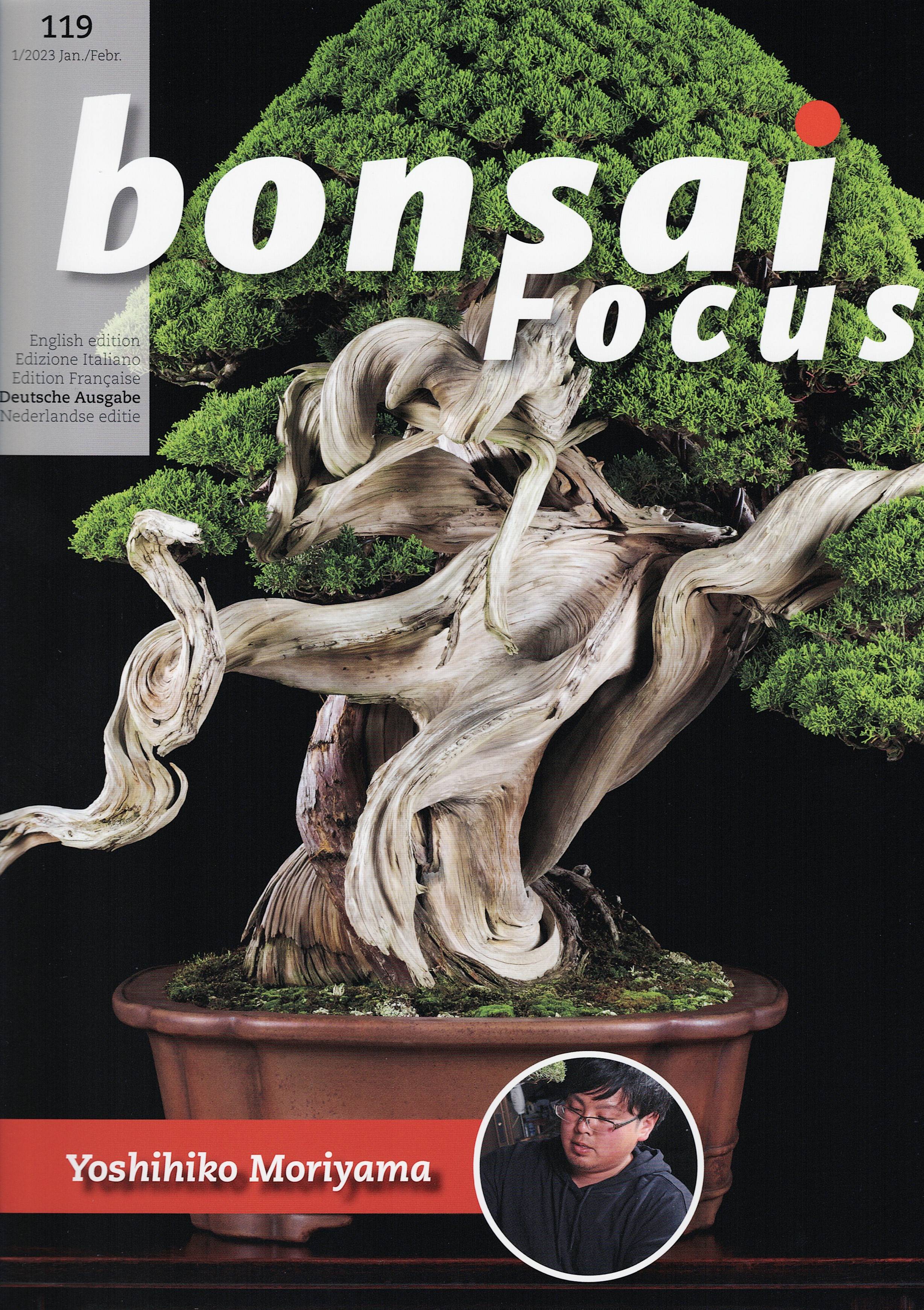 Bonsai Focus, Nr. 119
