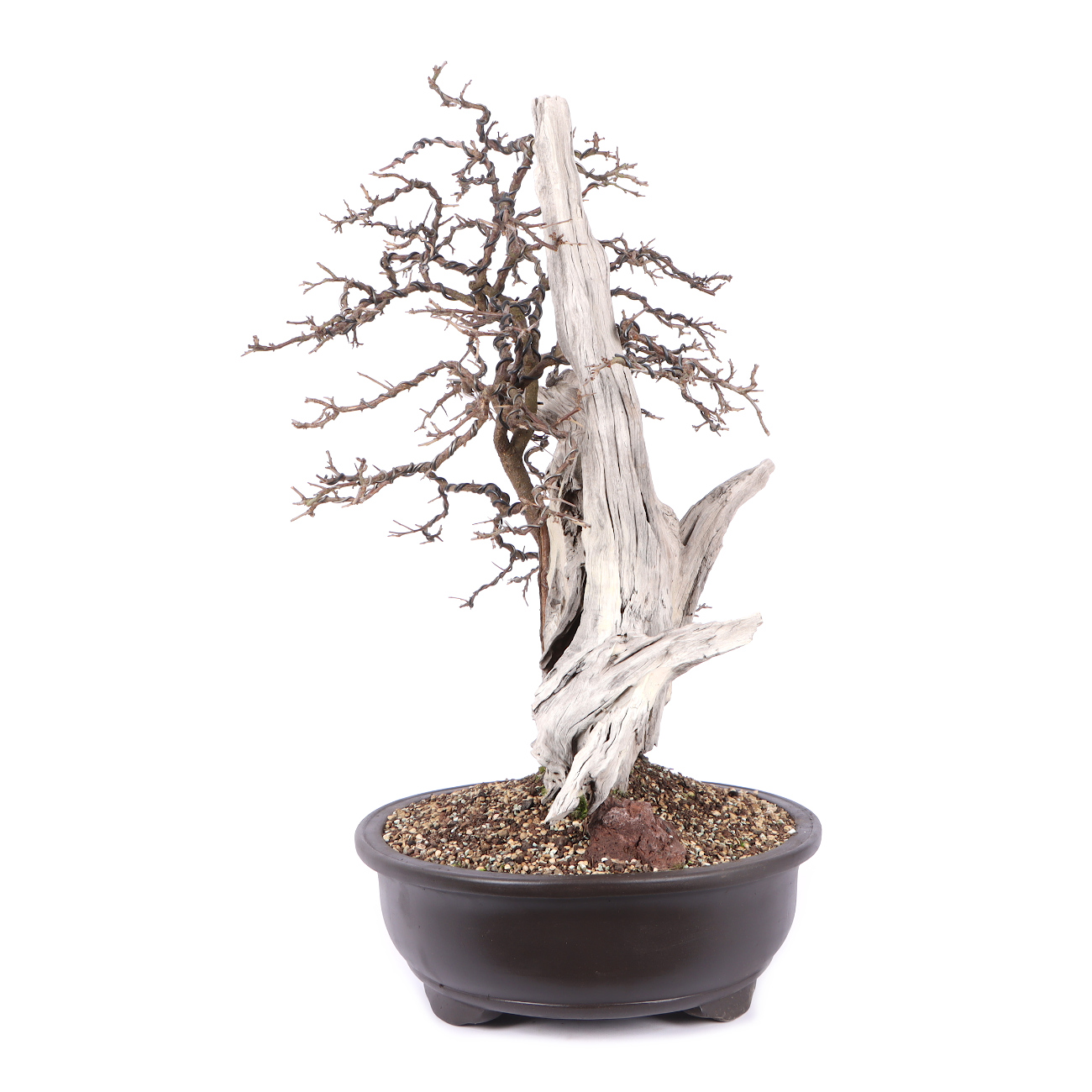 Seitenansicht rechts