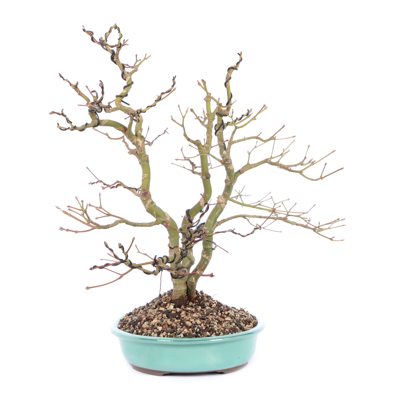 Seitenansicht rechts