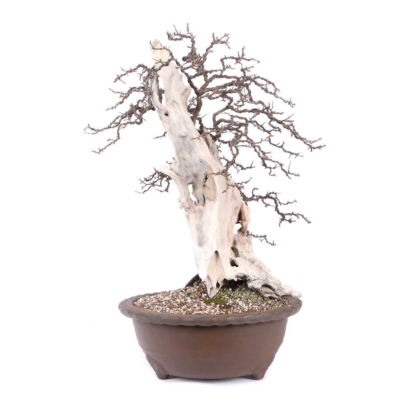 Seitenansicht rechts