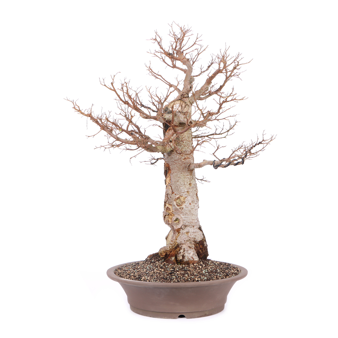 Seitenansicht rechts