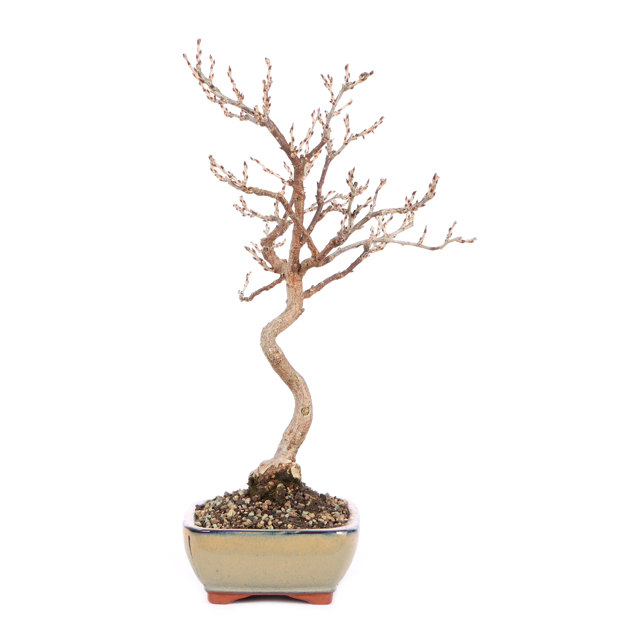 Seitenansicht rechts