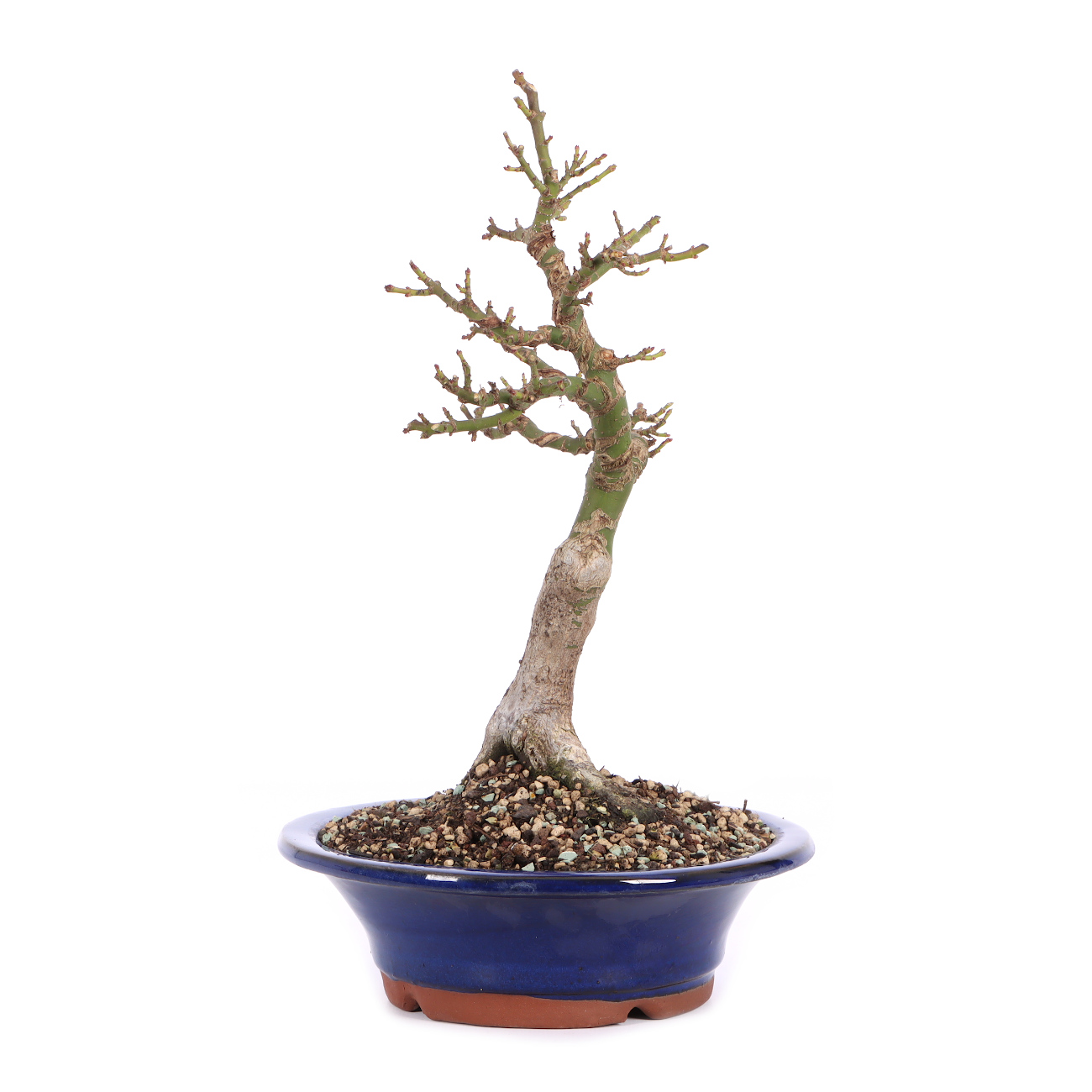 Seitenansicht rechts