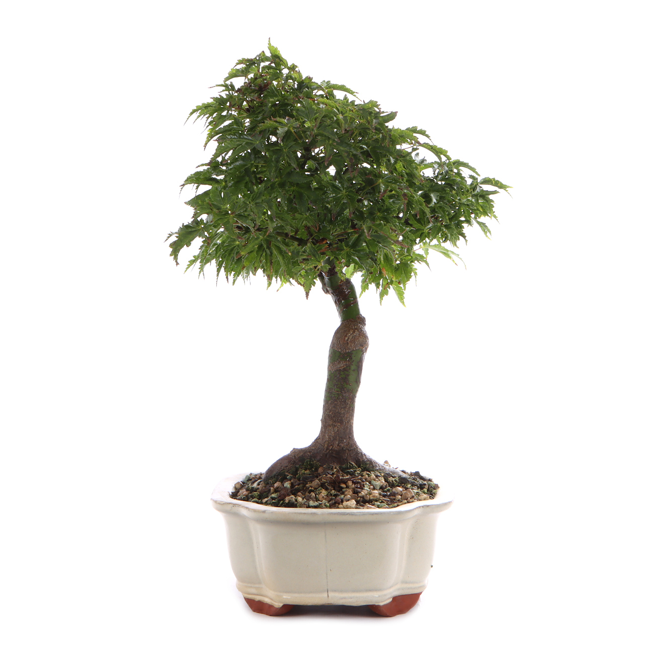 Seitenansicht rechts