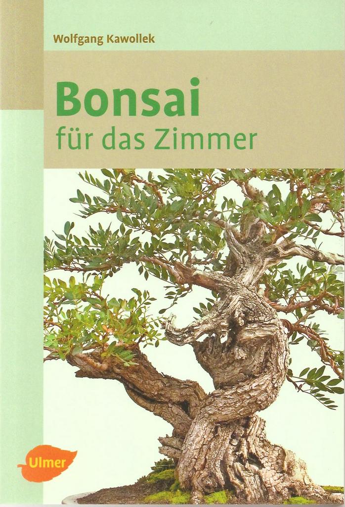 Bonsai für das Zimmer