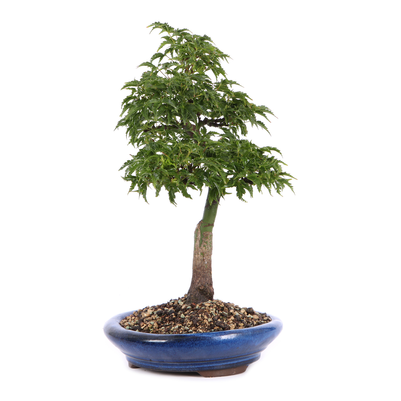 Seitenansicht rechts