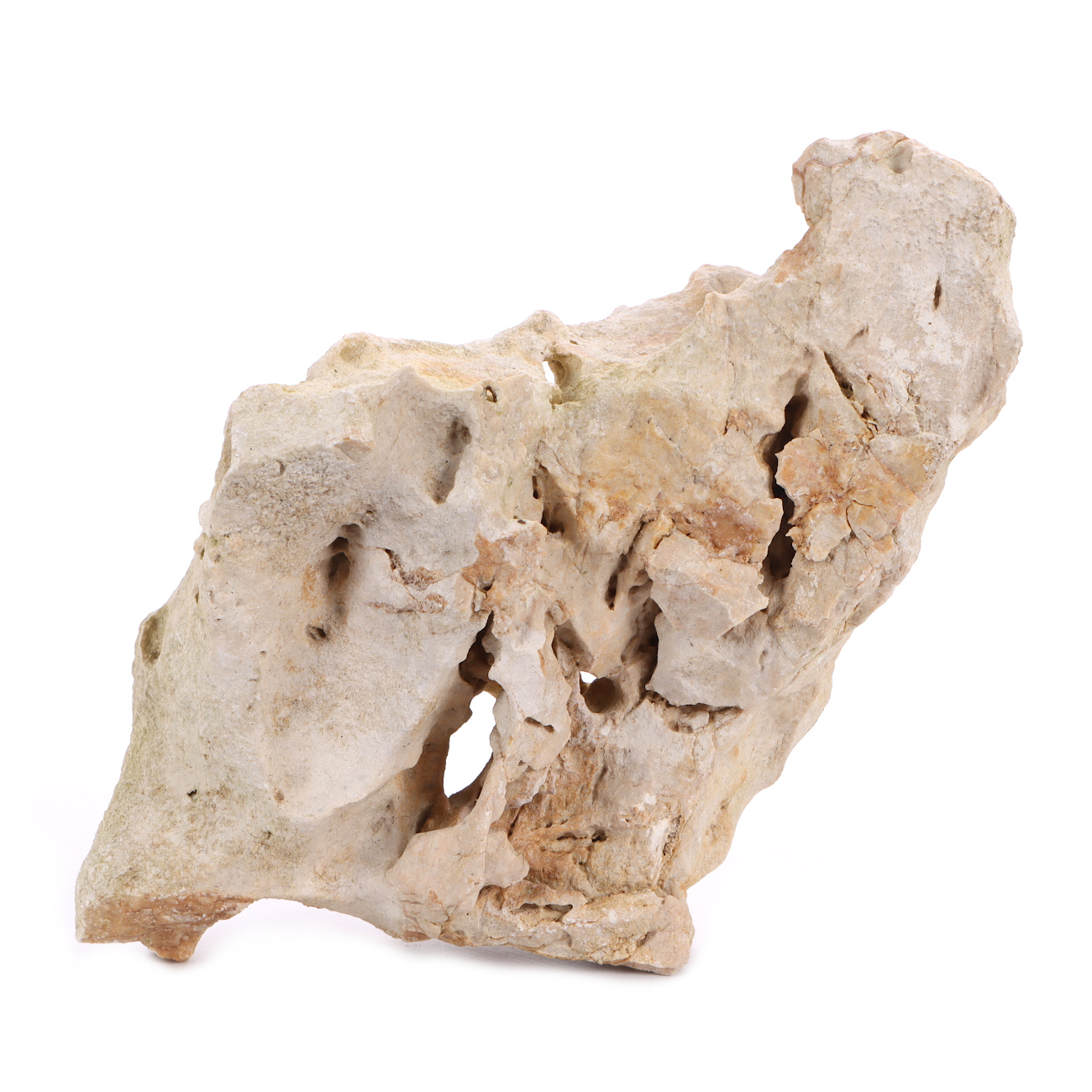 Indonesisches Lochgestein