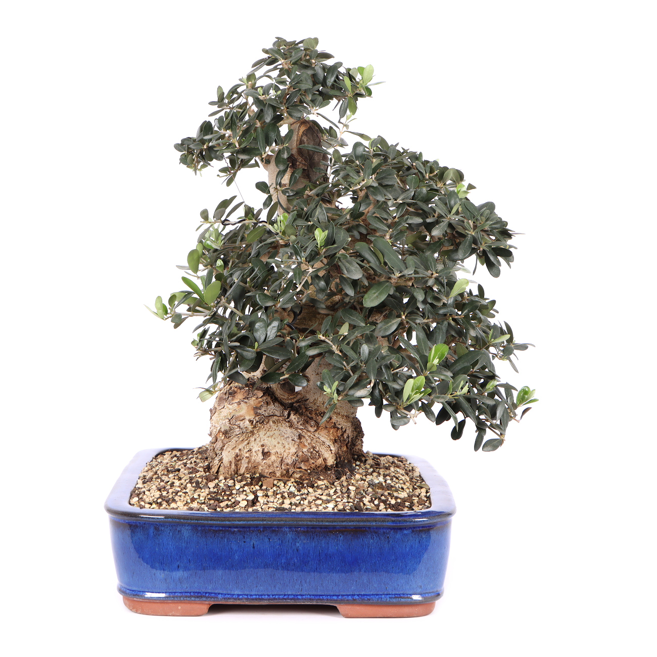 Seitenansicht rechts