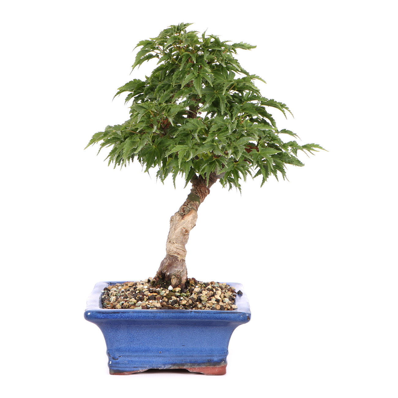 Seitenansicht rechts