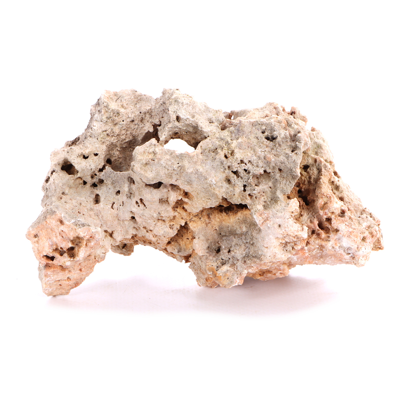 Indonesisches Lochgestein