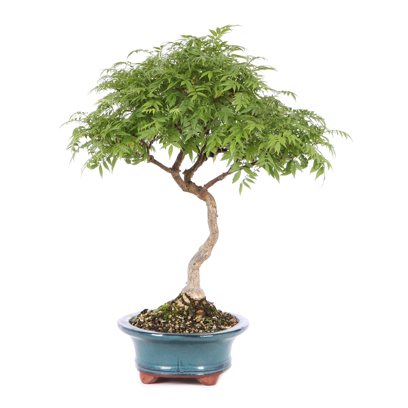 Seitenansicht rechts