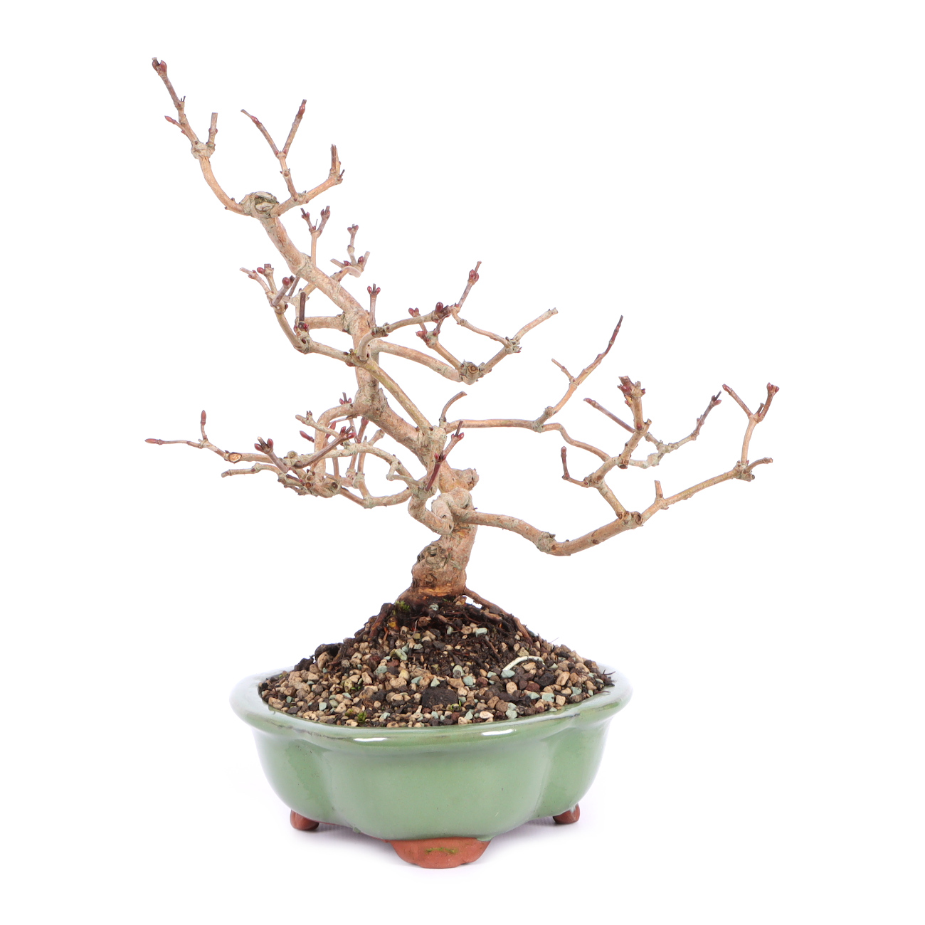 Seitenansicht rechts