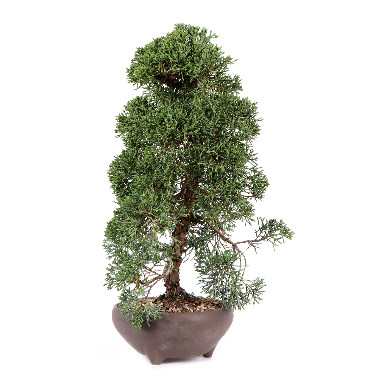 Seitenansicht rechts