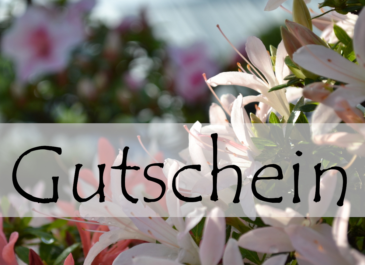 Geschenkgutschein 60 EUR