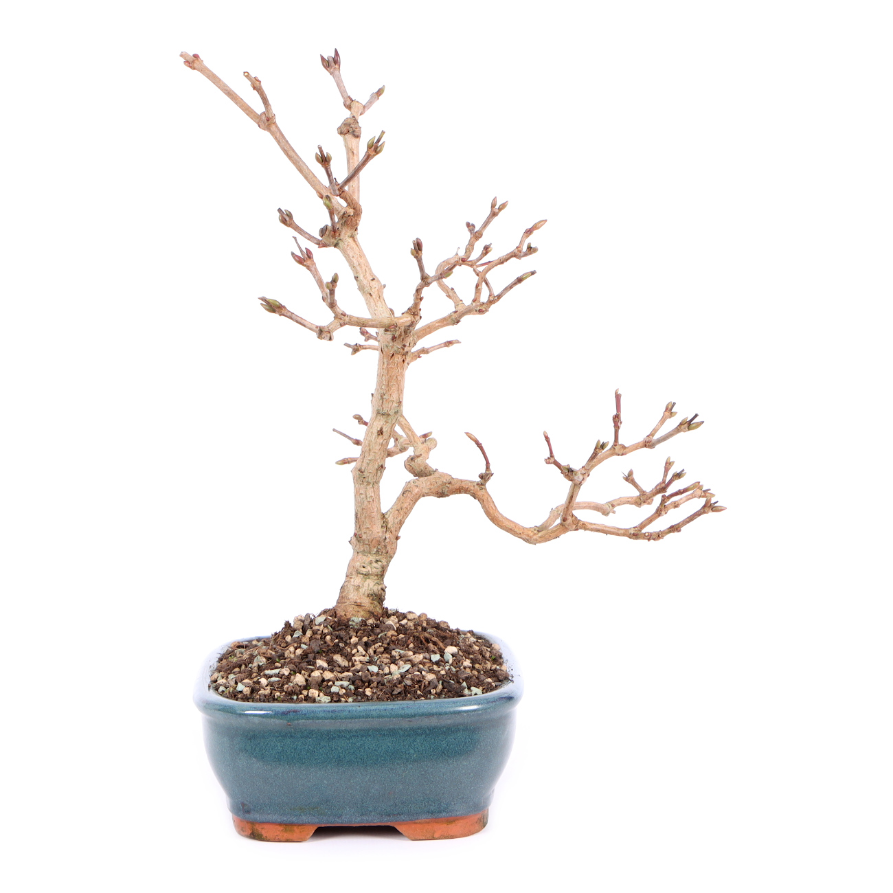 Seitenansicht rechts