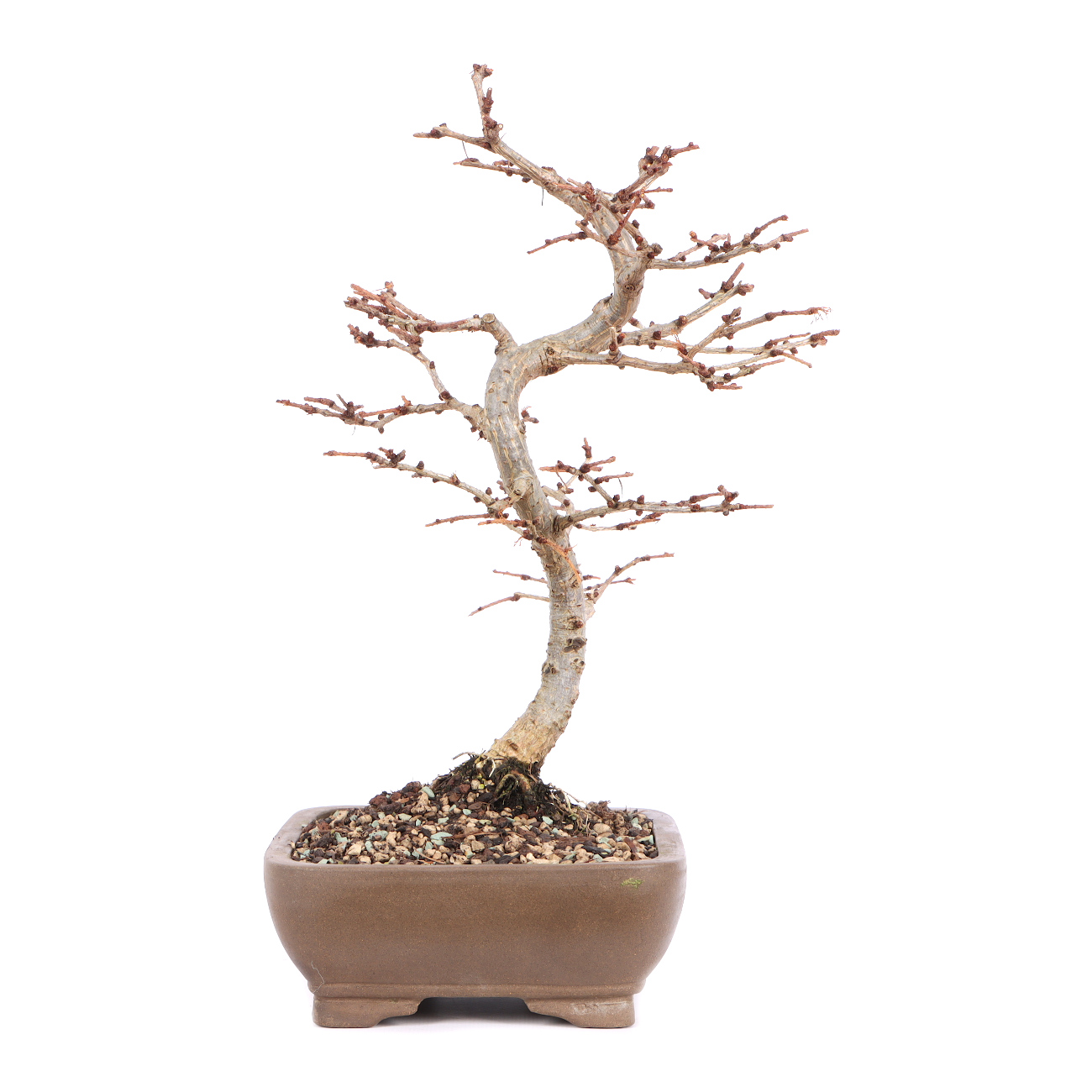 Seitenansicht rechts