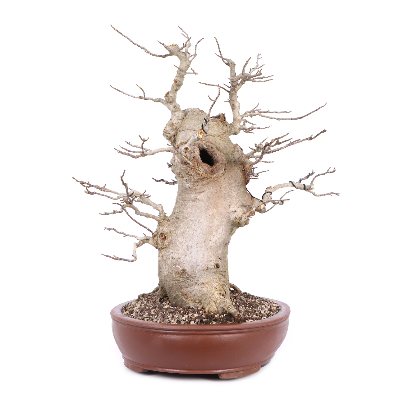 Seitenansicht rechts