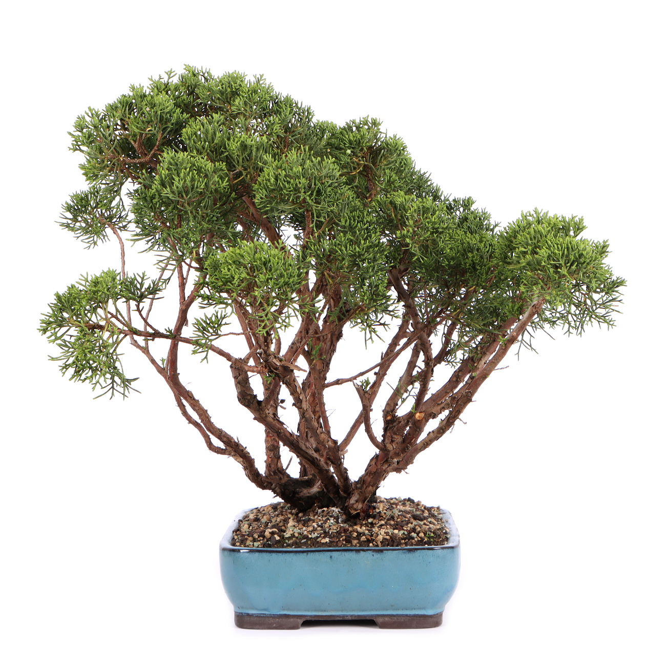 Seitenansicht rechts